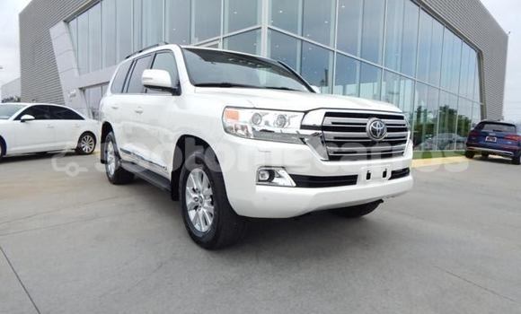 Comprar Importar Toyota Land Cruiser White Carro em Santo Antonio em Pague