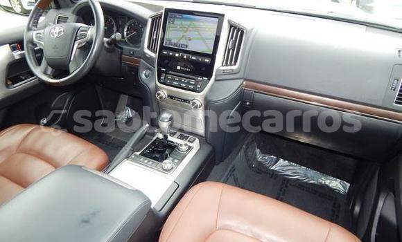 Comprar Importar Toyota Land Cruiser White Carro em Santo Antonio em Pague Comprar Importar Toyota Land Cruiser White Carro em Santo Antonio em Pague