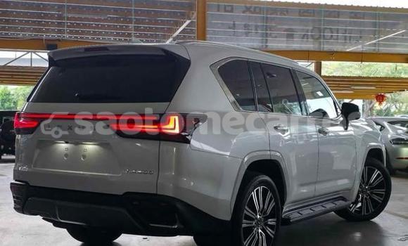Comprar Usado Lexus LX White Carro em Santo Amaro em Lobata Comprar Usado Lexus LX White Carro em Santo Amaro em Lobata