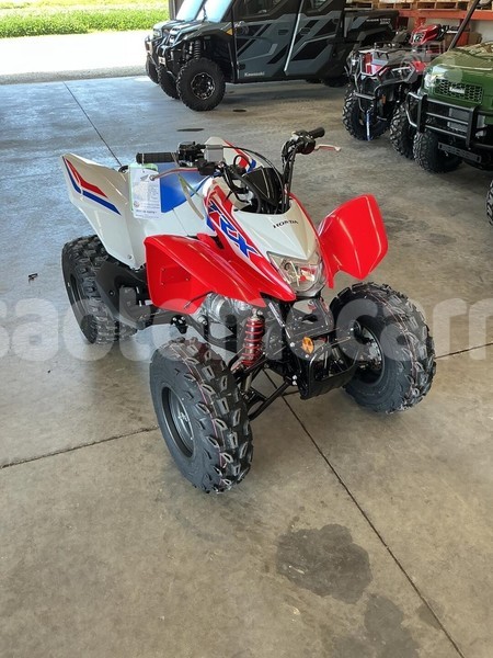 Big with watermark honda trx lobata santo amaro 122