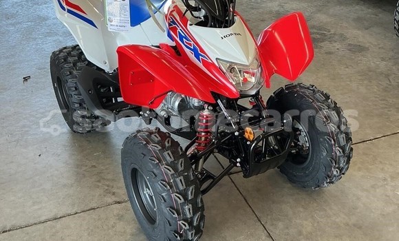 Comprar Novo Honda TRX Other Moto em Santo Amaro em Lobata
